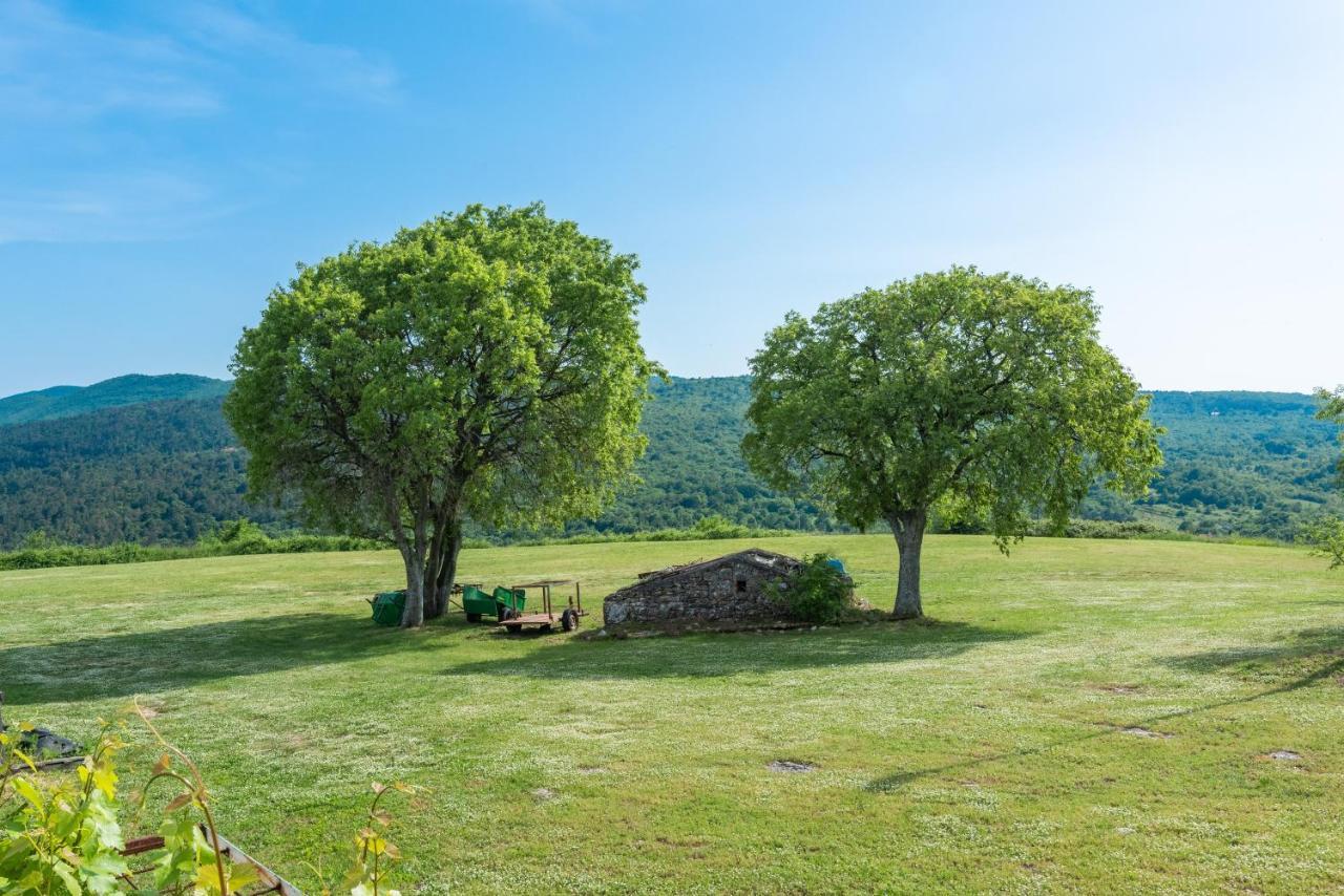 Mia Apartment Labin (Istria)